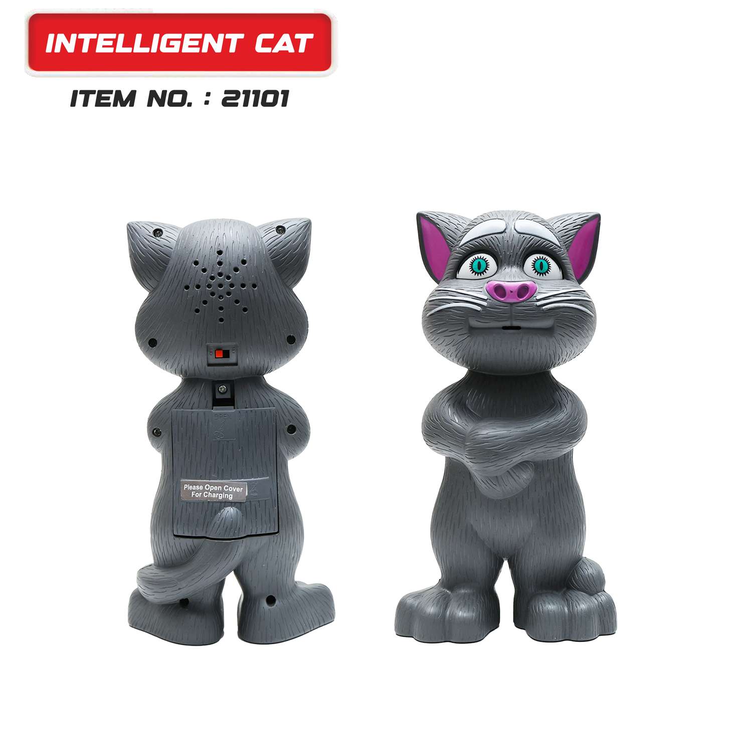 Intelligent Cat
