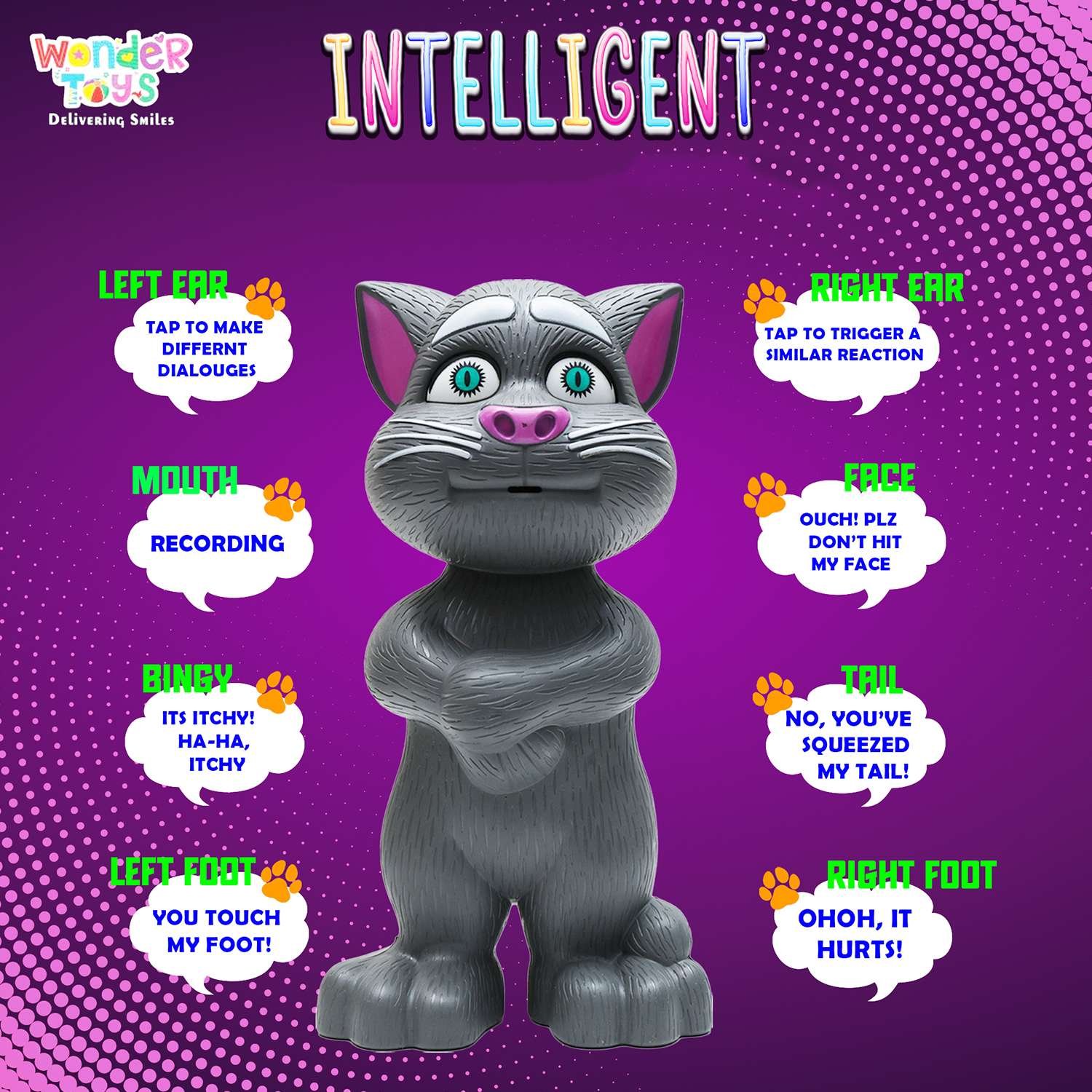 Intelligent Cat